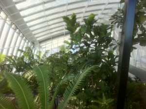 Sky Garden 1