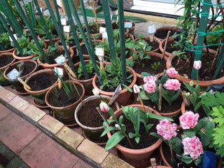 15 Hilborough Court3