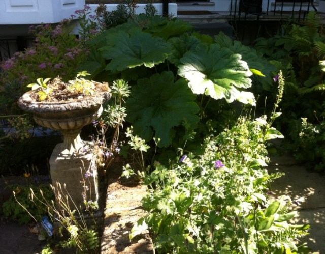 24 De Beauvoir Square