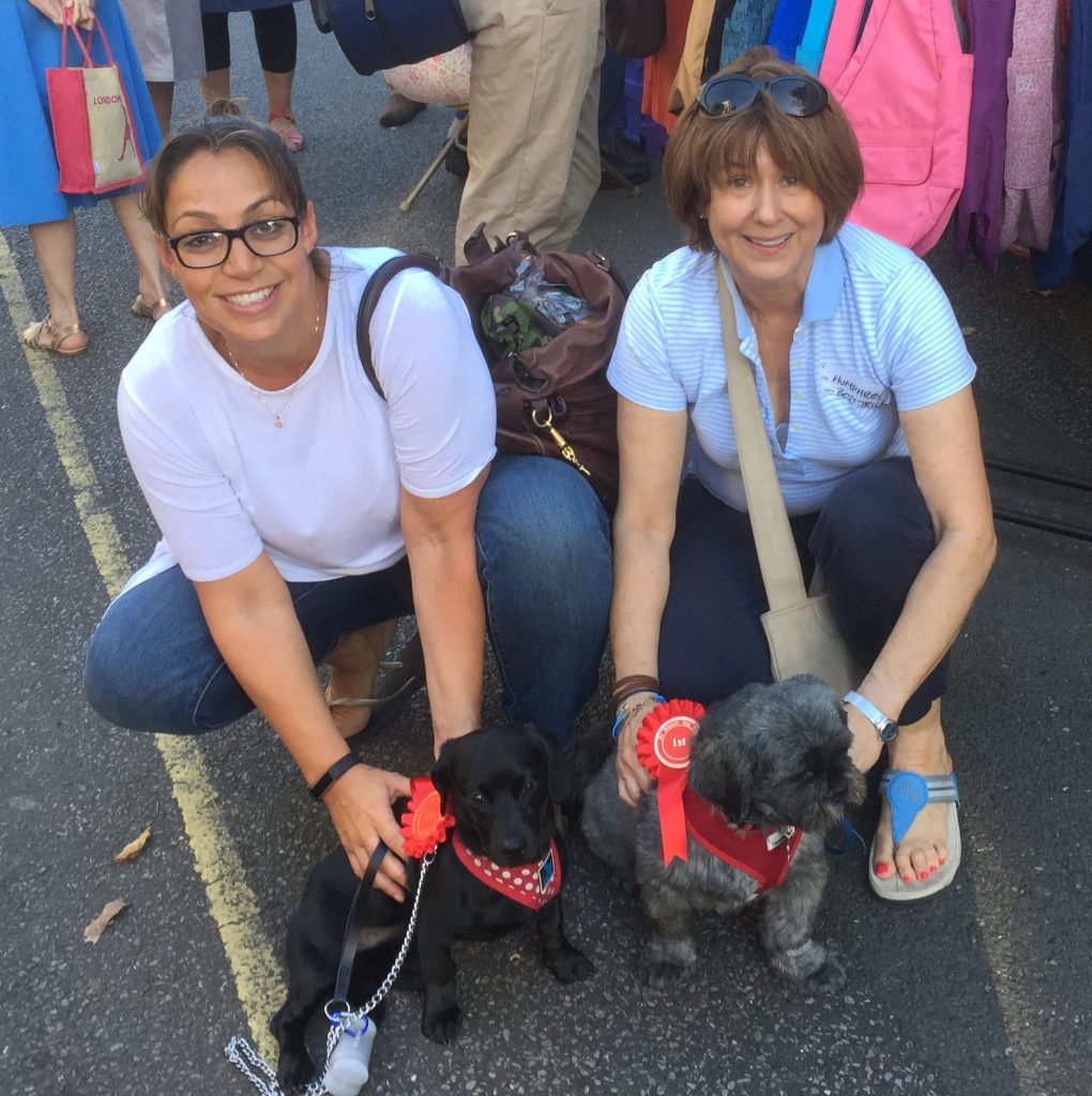 De Beauvoir Dog Show 2016