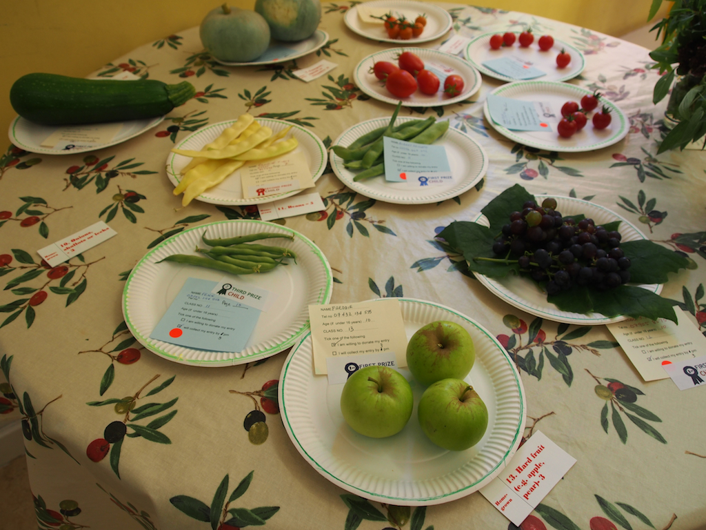 De Beauvoir Flower and Produce Show 2016