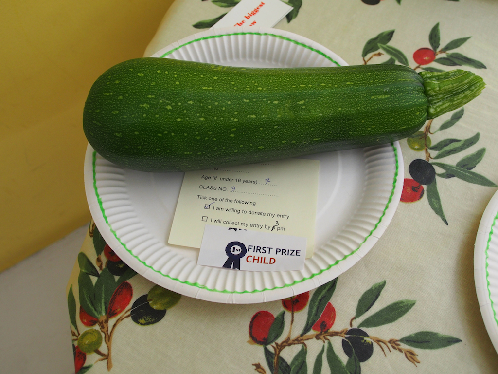 De Beauvoir Flower and Produce Show 2016