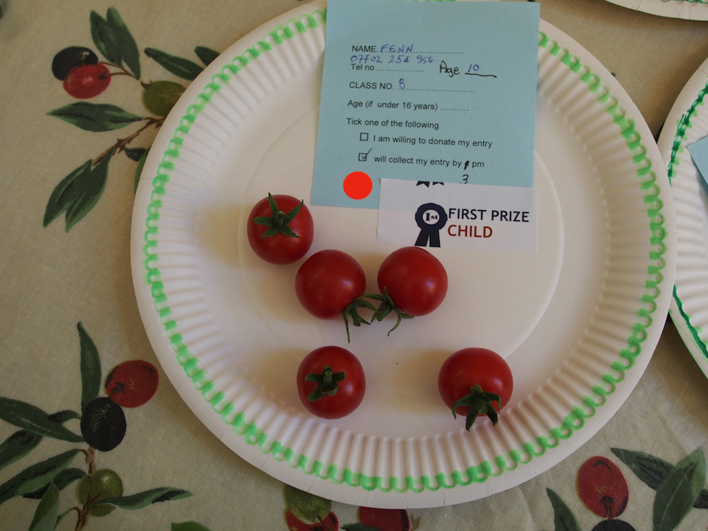 De Beauvoir Flower and Produce Show 2016