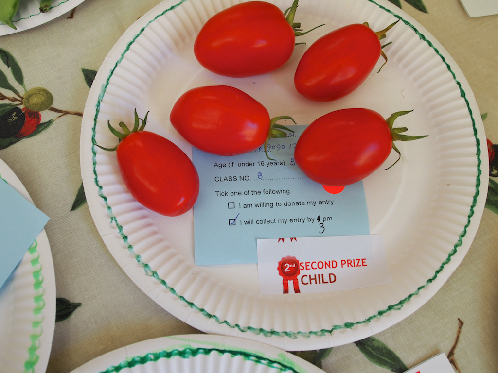 De Beauvoir Flower and Produce Show 2016