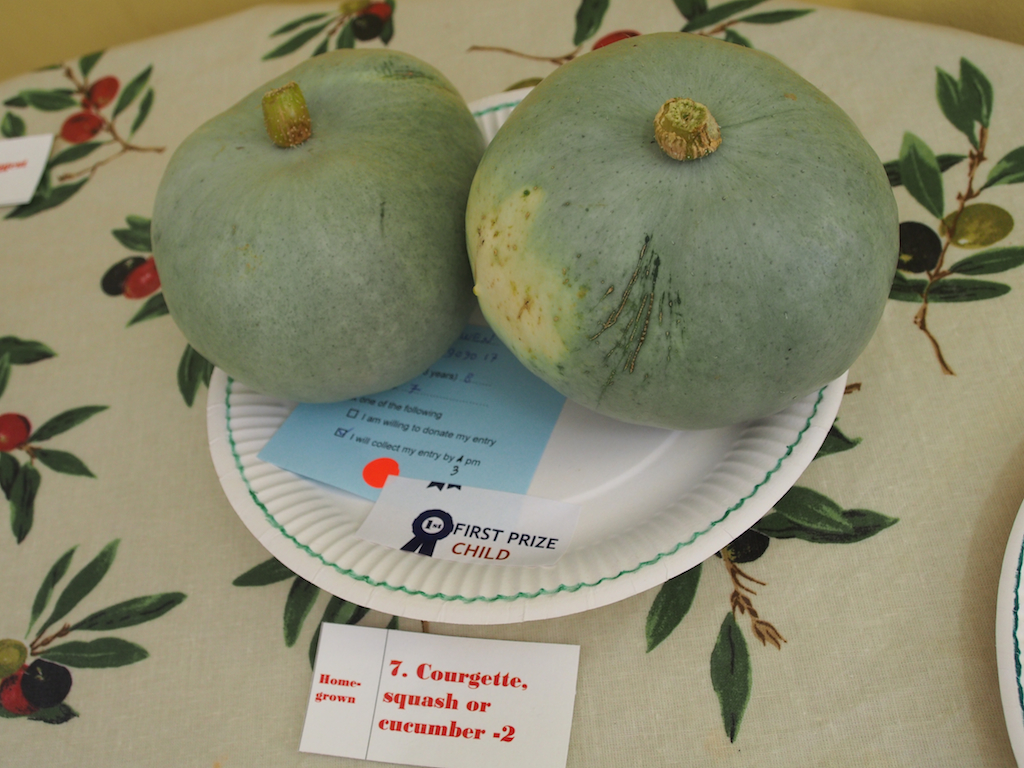 De Beauvoir Flower and Produce Show 2016