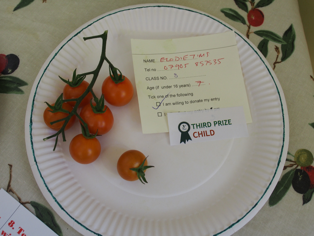 De Beauvoir Flower and Produce Show 2016