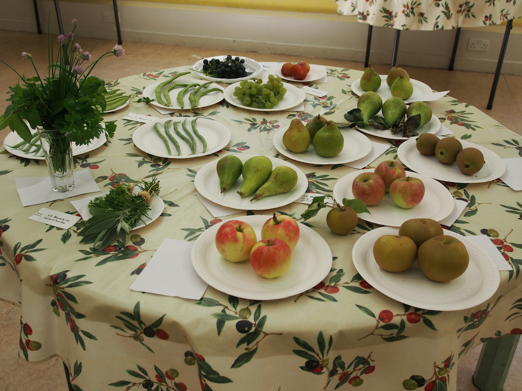 De Beauvoir Flower and Produce Show