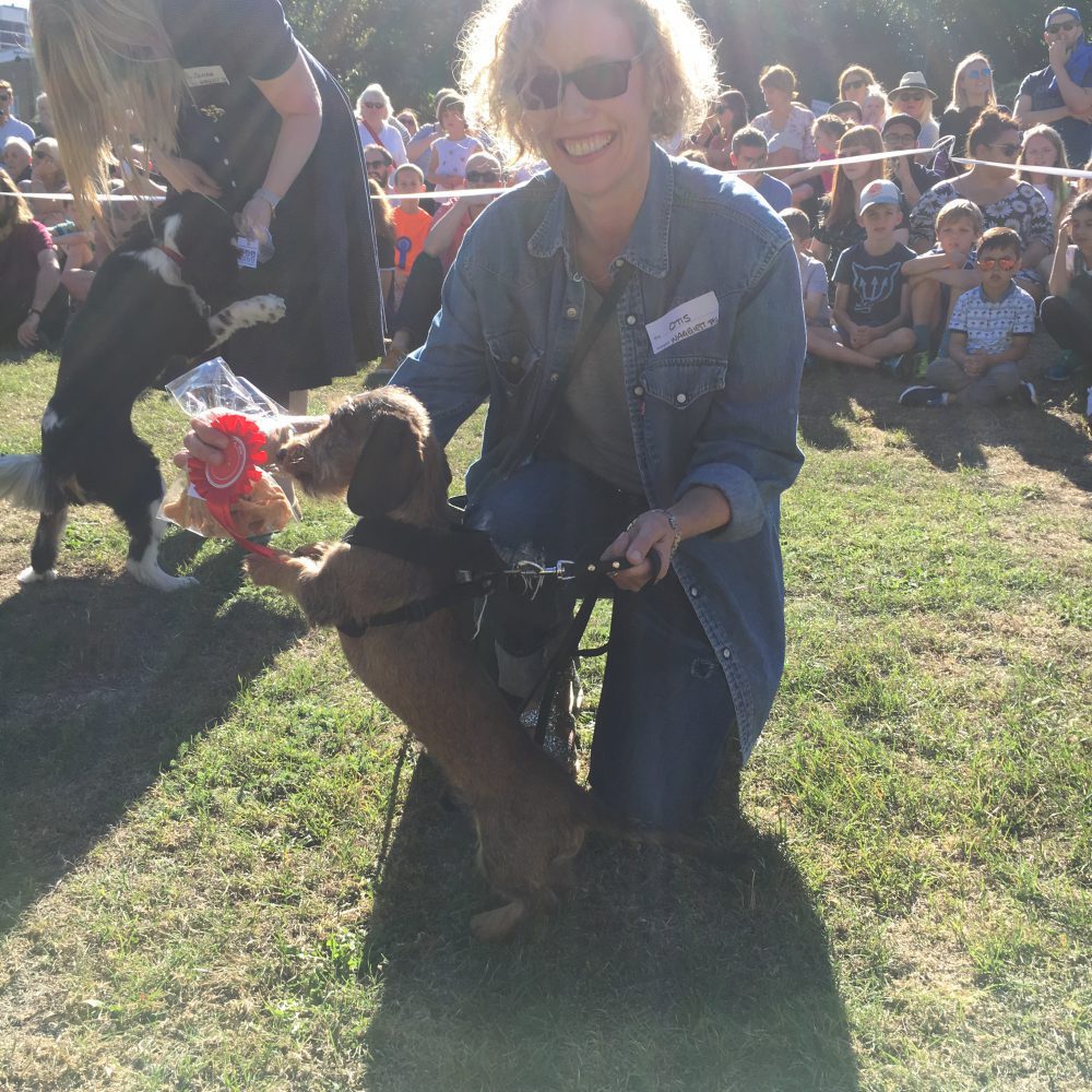 de Beauvoir dog show 2016