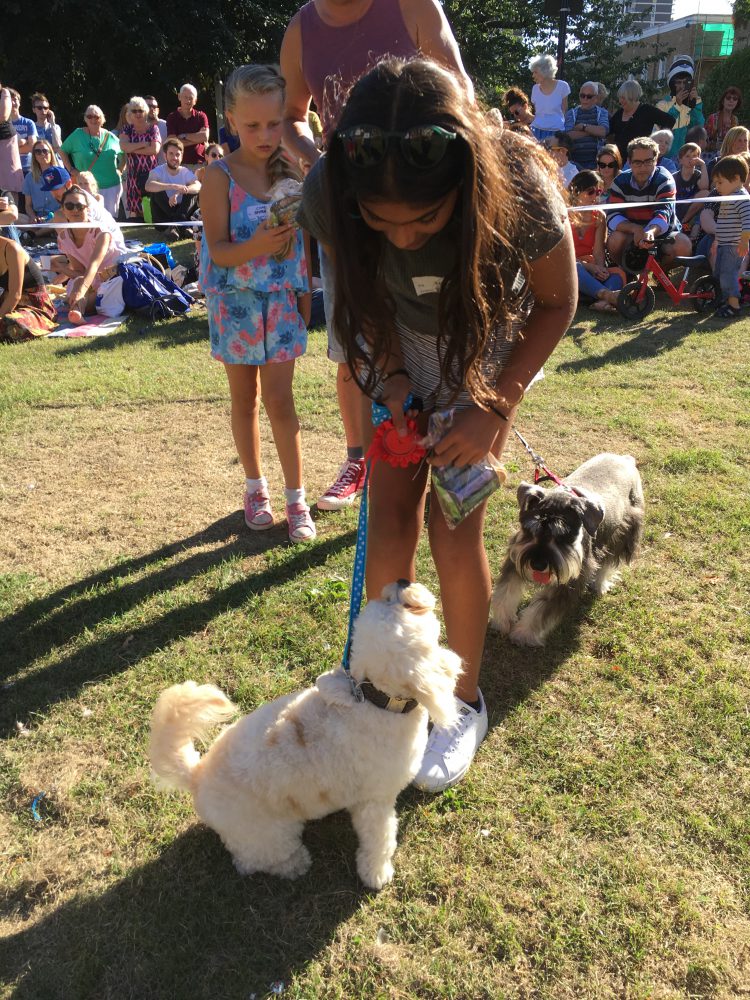 De Beauvoir Dog Show 2016