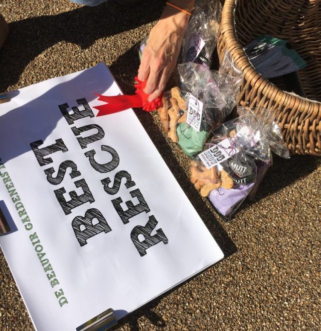 De Beauvoir Dog Show 216