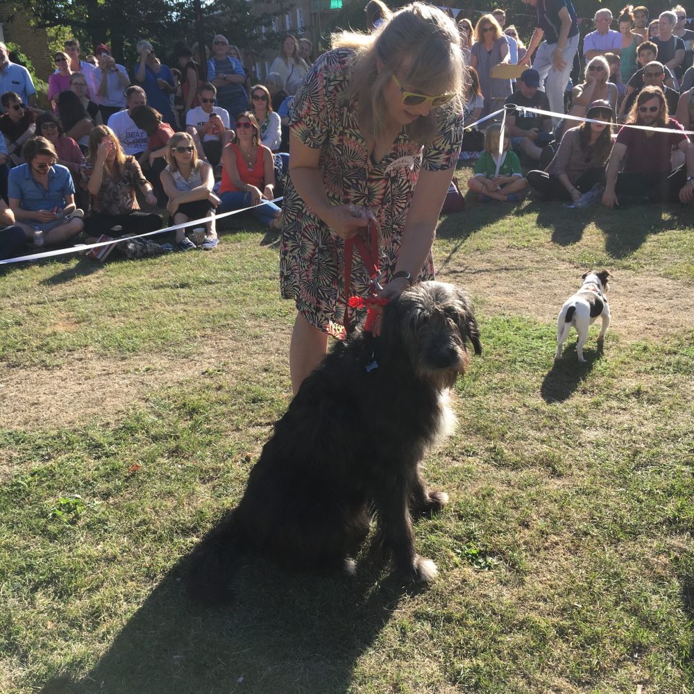 De Beauvoir Dog Show 2016