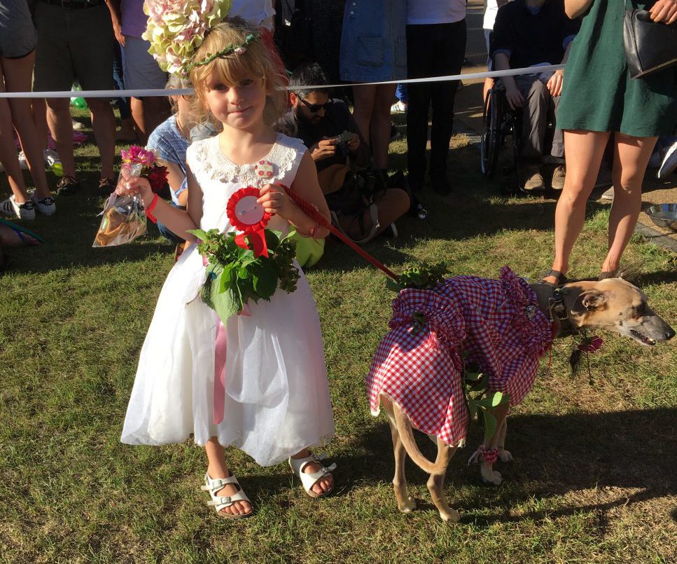 De Beauvoir Dog Show 2016