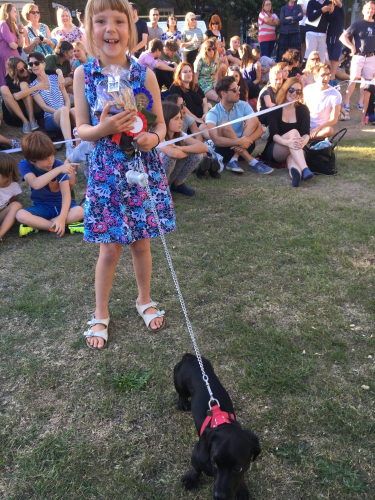 De Beauvoir Dog Show 2016