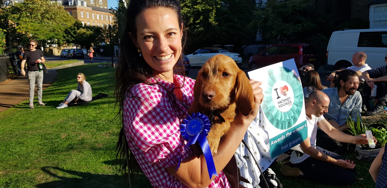 f9031e17-dad2-4a91-8986-93243f64182f