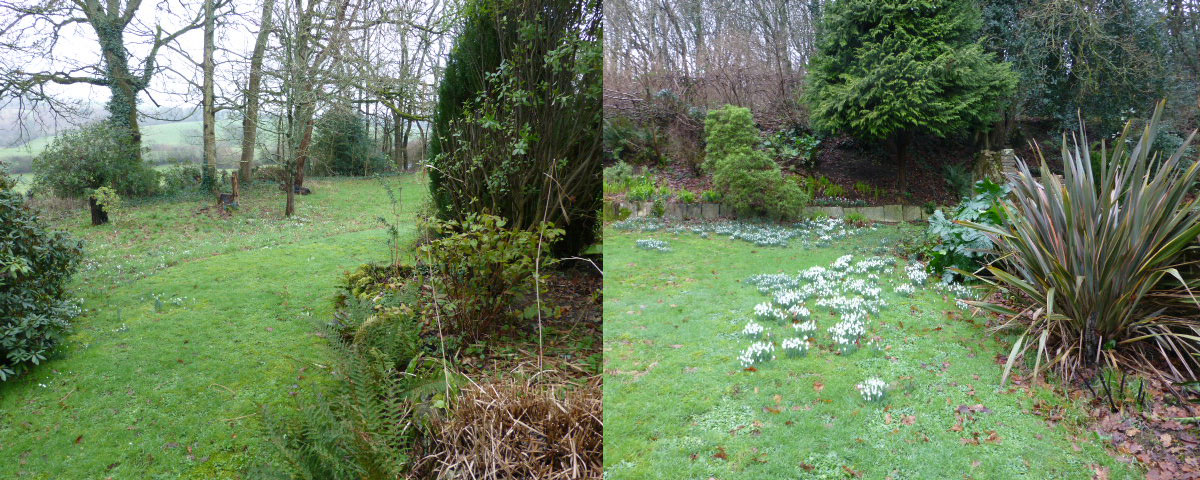 Great Whitcombe Manor