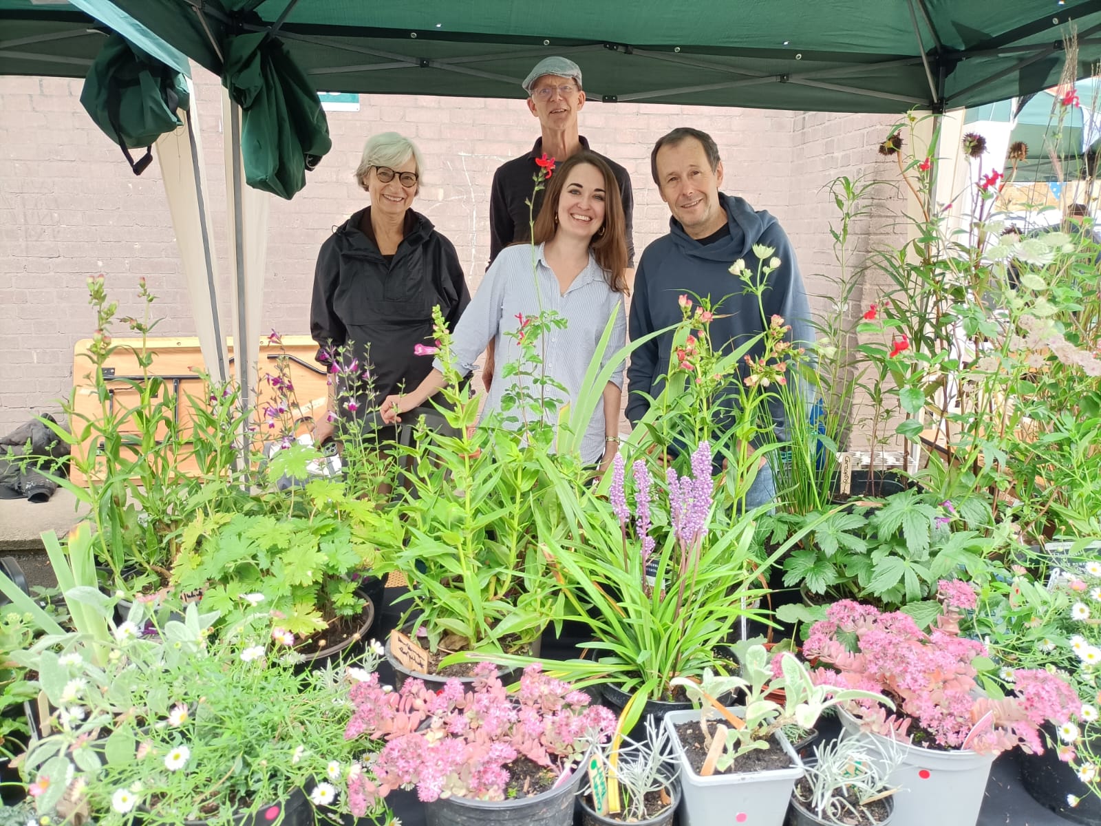 DBG Plant stall Autumn Fair 24